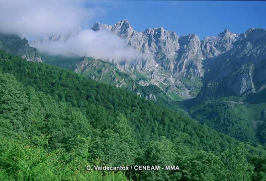 Concurso de Pintura Naturalista del Parque Nacional de los Picos de Europa